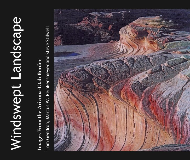 View Windswept Landscape by Tom Gendron, Marcus W. Reinkensmeyer and Steve Stilwell