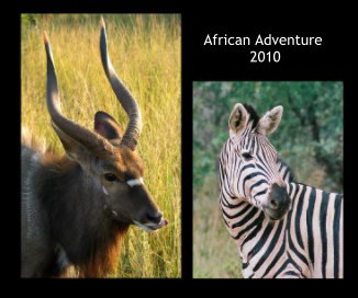 African Adventure 2010 book cover