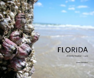 FLORIDA A Family Vacation :: 3.10 Cynthia Monaghan book cover
