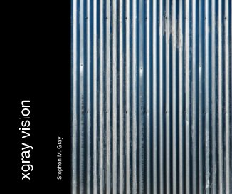 xgray vision book cover