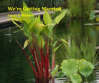 We're Getting Married book cover