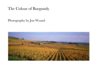 The Colour of Burgundy book cover