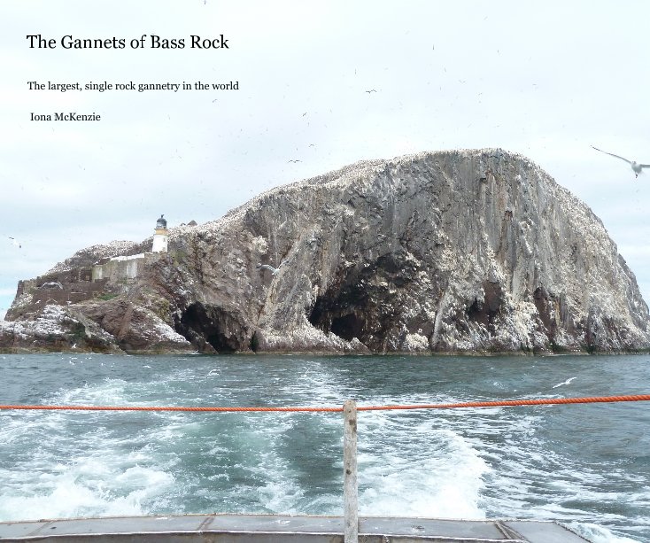 Ver The Gannets of Bass Rock por Iona McKenzie