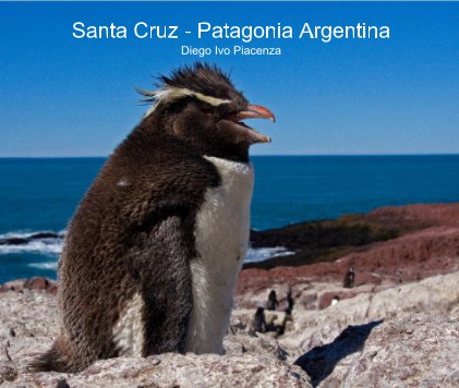 Santa Cruz - Patagonia Argentina Diego Ivo Piacenza book cover