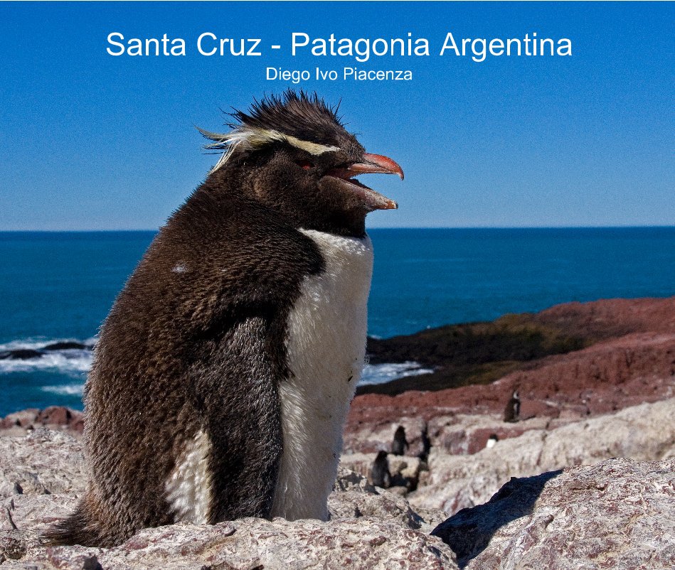 View Santa Cruz - Patagonia Argentina Diego Ivo Piacenza by Diego Ivo Piacenza