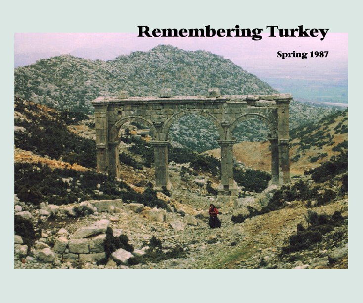 View Remembering Turkey by Fran Sibley