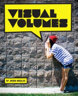 Visual Volumes book cover