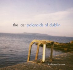 the last polaroids of dublin book cover
