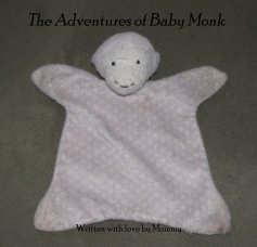 The Adventures of Baby Monk book cover