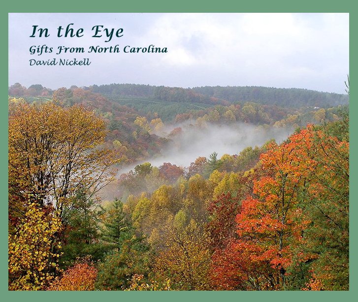 View In the Eye by David Nickell