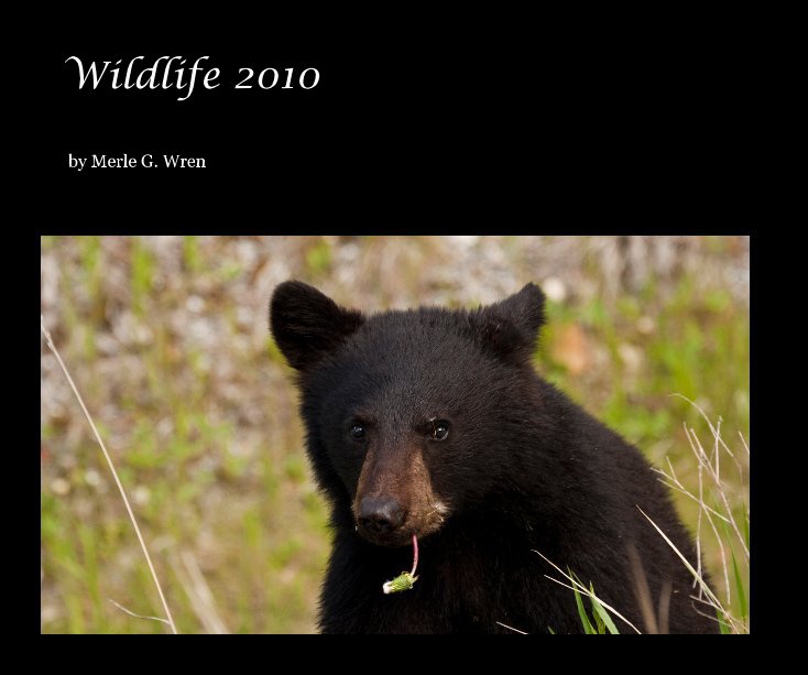 View Wildlife 2010 by Merle G. Wren