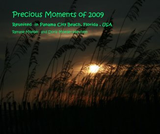 Precious Moments of 2009 book cover