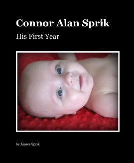 Connor Alan Sprik book cover