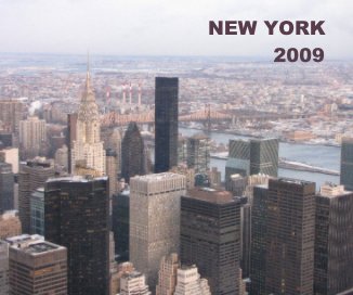 NEW YORK 2009 book cover