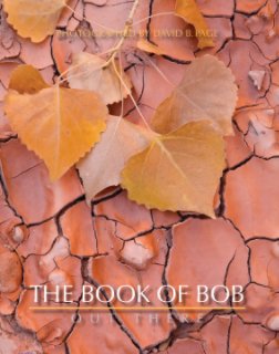 Book of Bob book cover