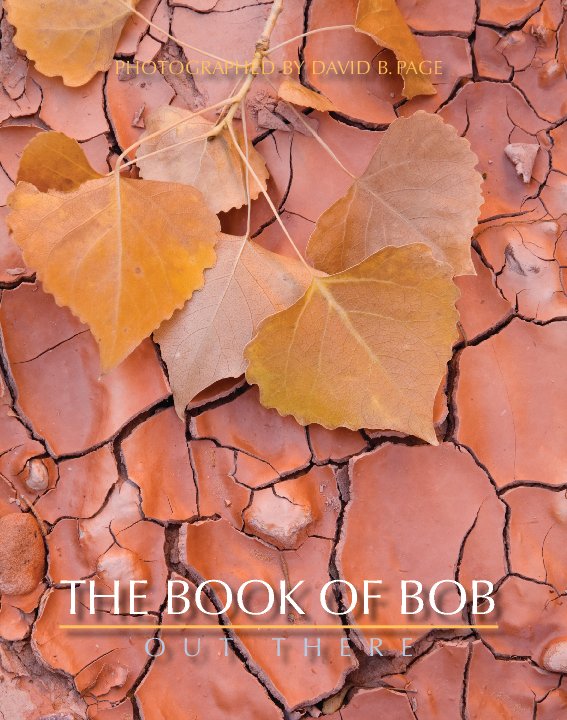 View Book of Bob by David B. Page