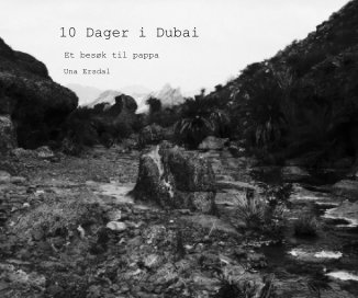10 Dager i Dubai book cover