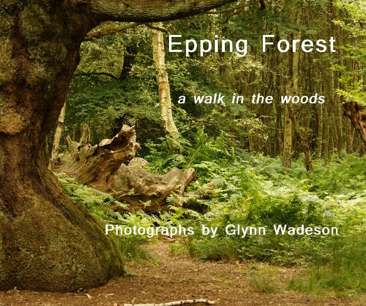 Ver Epping Forest por Photographs by Glynn Wadeson