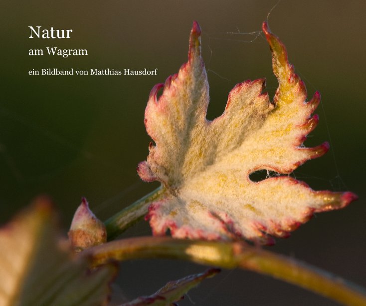Bekijk Natur op Matthias Hausdorf