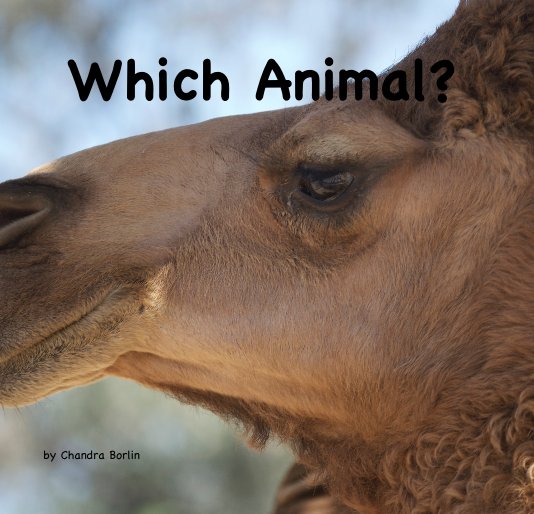 View Which Animal? by Chandra Borlin