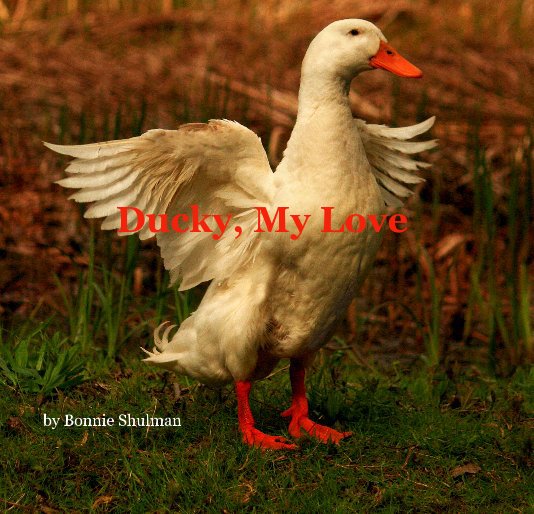View Ducky, My Love by Bonnie Shulman