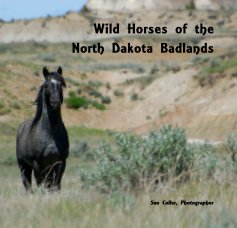 Wild Horses of the North Dakota Badlands book cover