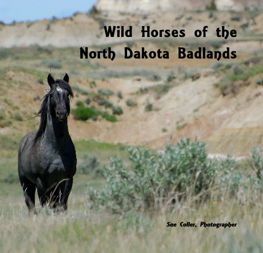 Visualizza Wild Horses of the North Dakota Badlands di Sue Coller, Photographer