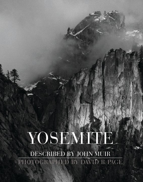 View Yosemite by David B. Page