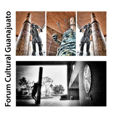 Forum Cultural Guanajuato book cover