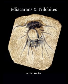 Ediacarans & Trilobites Arnim Walter book cover