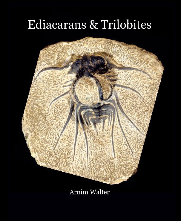 View Ediacarans & Trilobites Arnim Walter by Arnim Walter