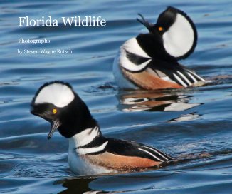 Florida Wildlife book cover