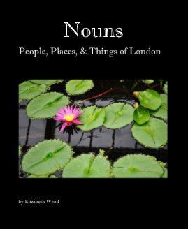 Nouns book cover