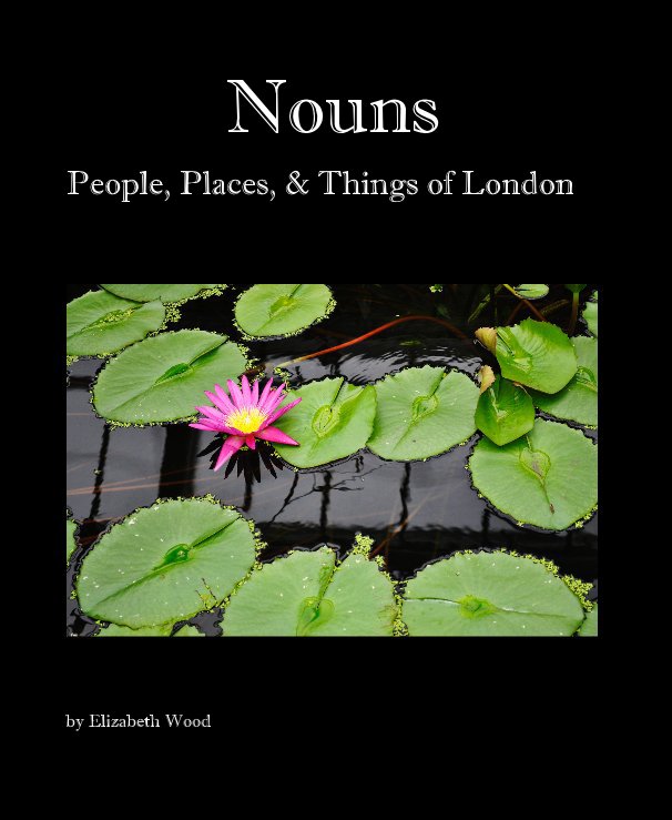 View Nouns by Elizabeth Wood