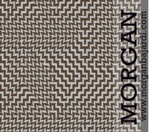 MORGAN book cover