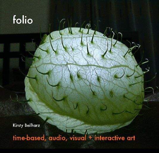 View folio by time-based, audio, visual + interactive art