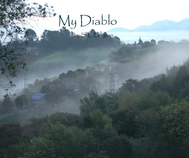 View My Diablo by S. L. Burgess