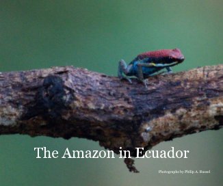The Amazon in Ecuador book cover