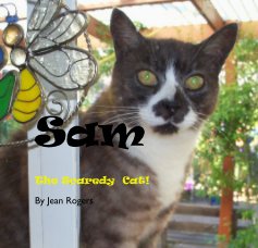Sam book cover