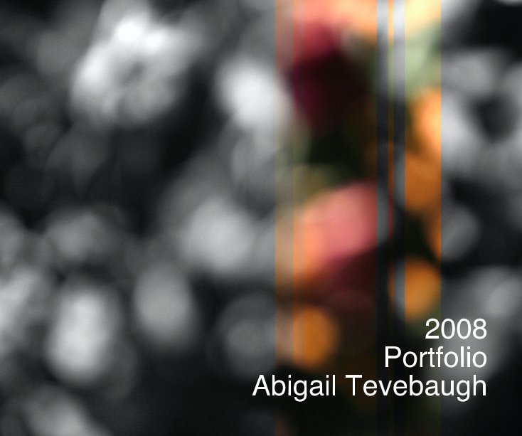 Bekijk 2008 Portfolio op Abigail Tevebaugh