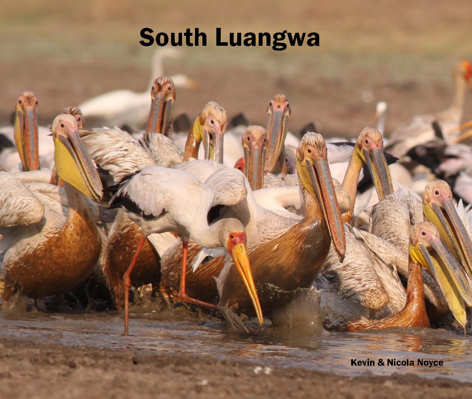 Ver South Luangwa por Kevin & Nicola Noyce