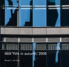 New York in autumn, 2008 book cover