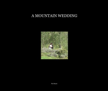 A MOUNTAIN WEDDING book cover
