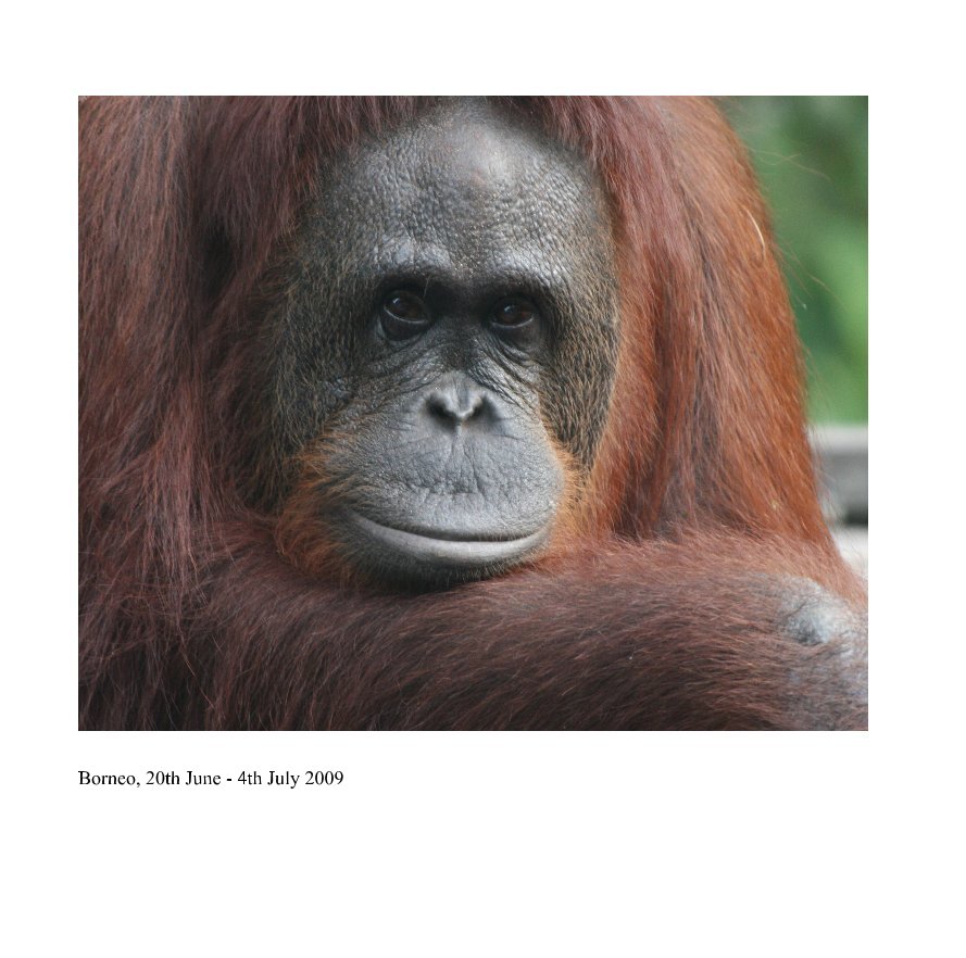 Ver Borneo por gavinailes