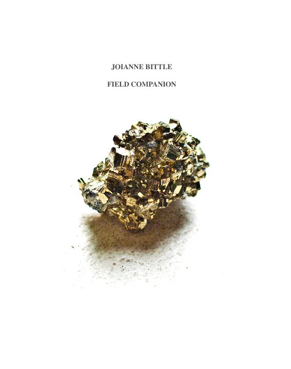 View Field Companion by Joianne Bittle