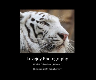 Lovejoy Photography book cover
