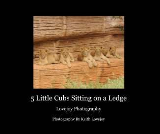 5 Little Cubs Sitting on a Ledge book cover