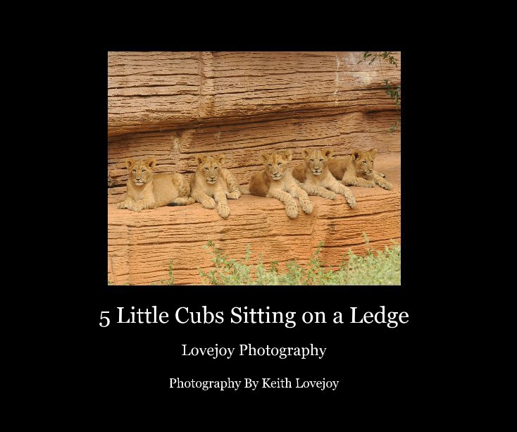 Ver 5 Little Cubs Sitting on a Ledge por Photography By Keith Lovejoy