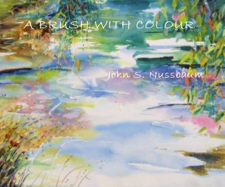 A BRUSH WITH COLOUR book cover