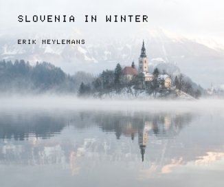 SLOVENIA IN WINTER book cover